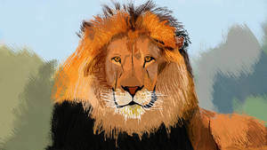 Lion illustration