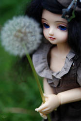 Lucy and the Dandelion