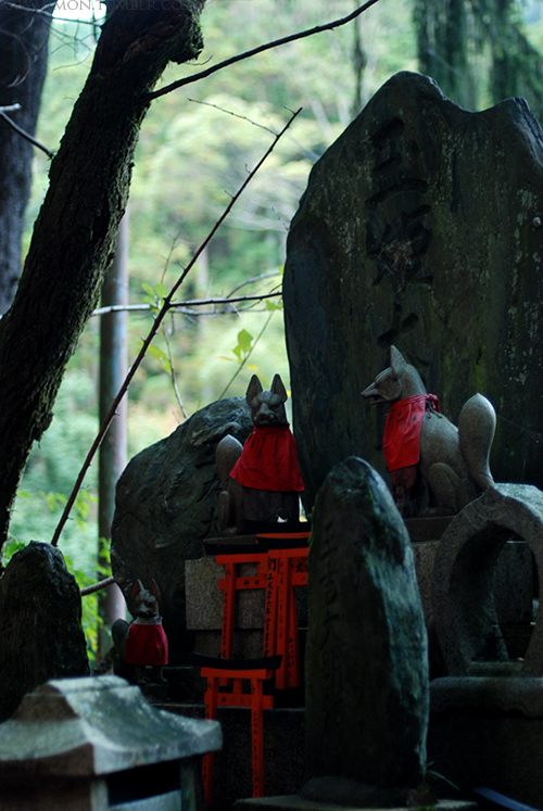 Fushimi Inari Taisha IV