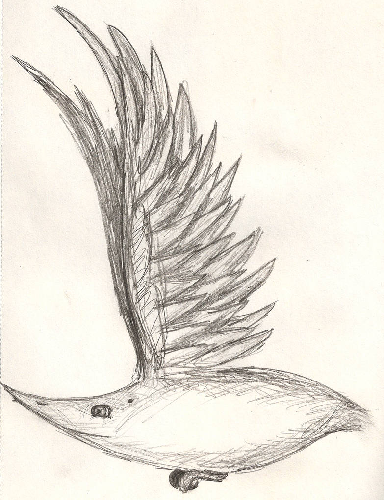 Draw Flying Creature Flying Creature by Fonyaesss on DeviantArt