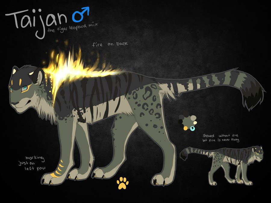 Taijan Ref Sheet