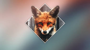 Fox - PC Wallpaper
