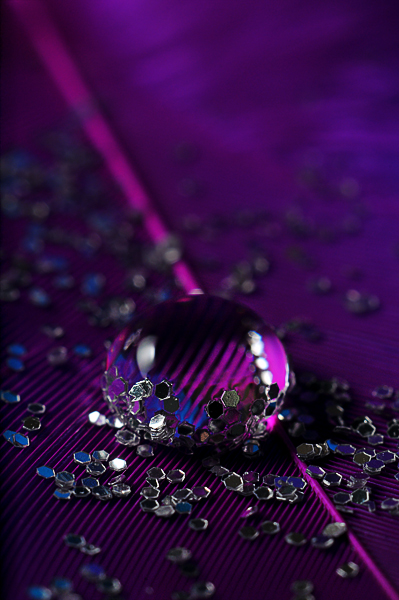 Purple Drop
