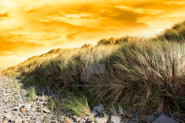 dramatic sunset on rocky beal beach