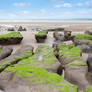 mud banks at Beal beach