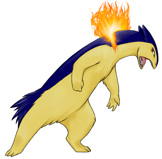 Rage of a Typhlosion