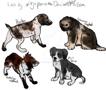 Uncommon Dog Breed Adoptables