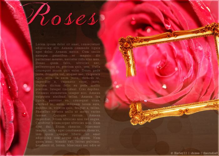 Rose Layout For Rants Roses Layout by crystalcleargfx on DeviantArt