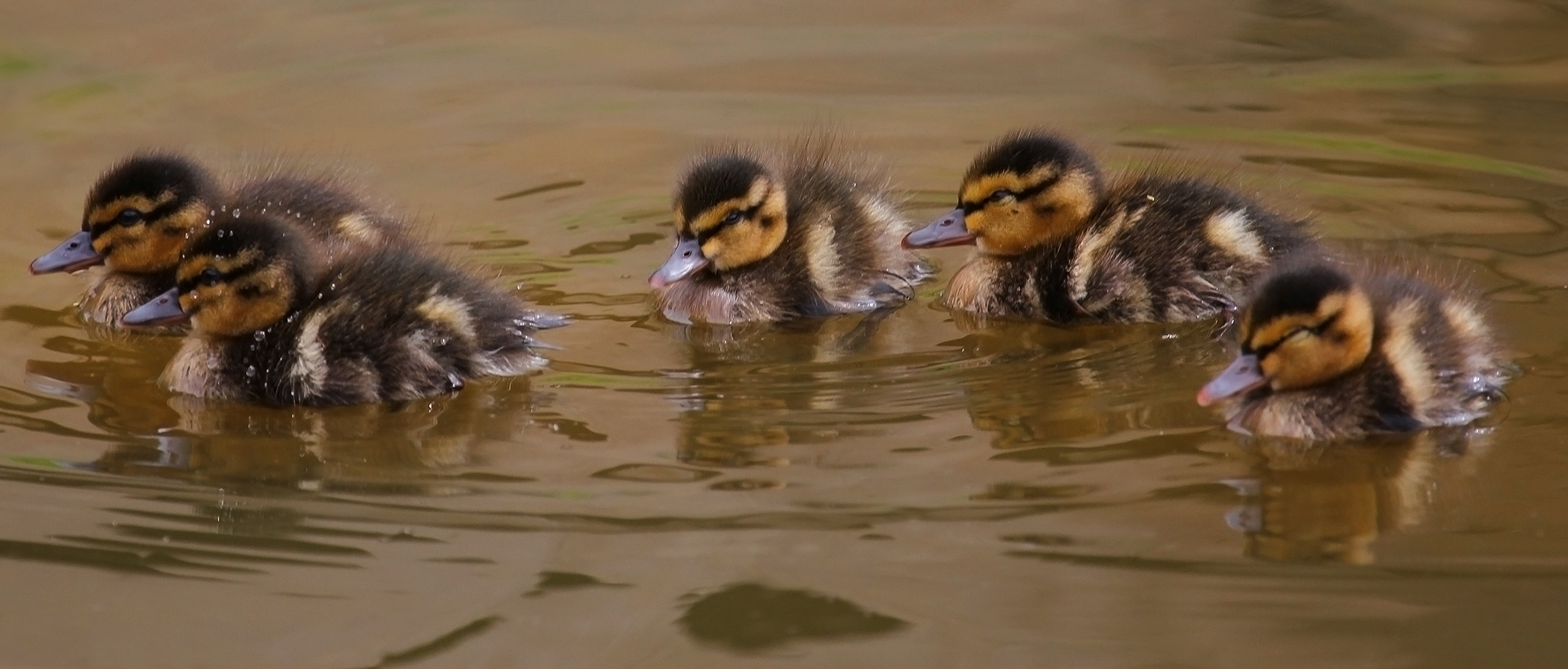 Family trip