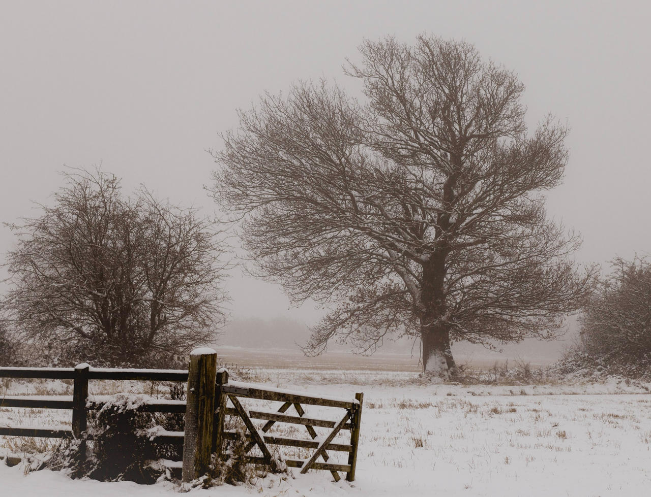 The heart dies a slow death