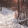 Snowy path along the river