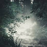 Foggy river