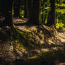 Small measure of peace that we all seek