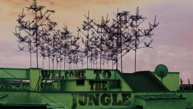 Welcome to the Jungle