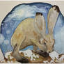 Hare and dandelions