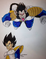 Vegeta and his giant monkey..... FORM by gokujr96