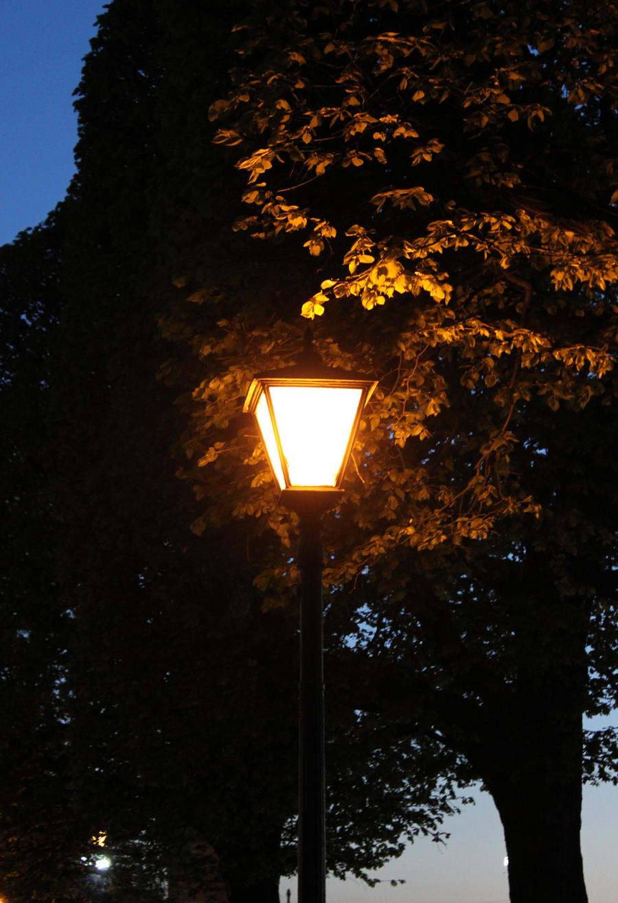 Street lamp lit