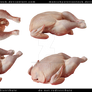 Raw Chicken Cut Out