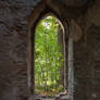 Gothic Window 3