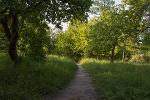 Path