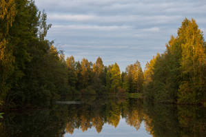 Trees Lake Reflection by ManicHysteriaStock