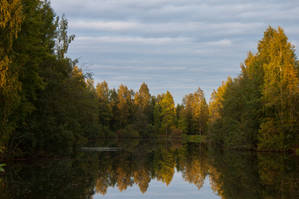 Trees Lake Reflection by ManicHysteriaStock Trees Lake Reflection by ManicHysteriaStock