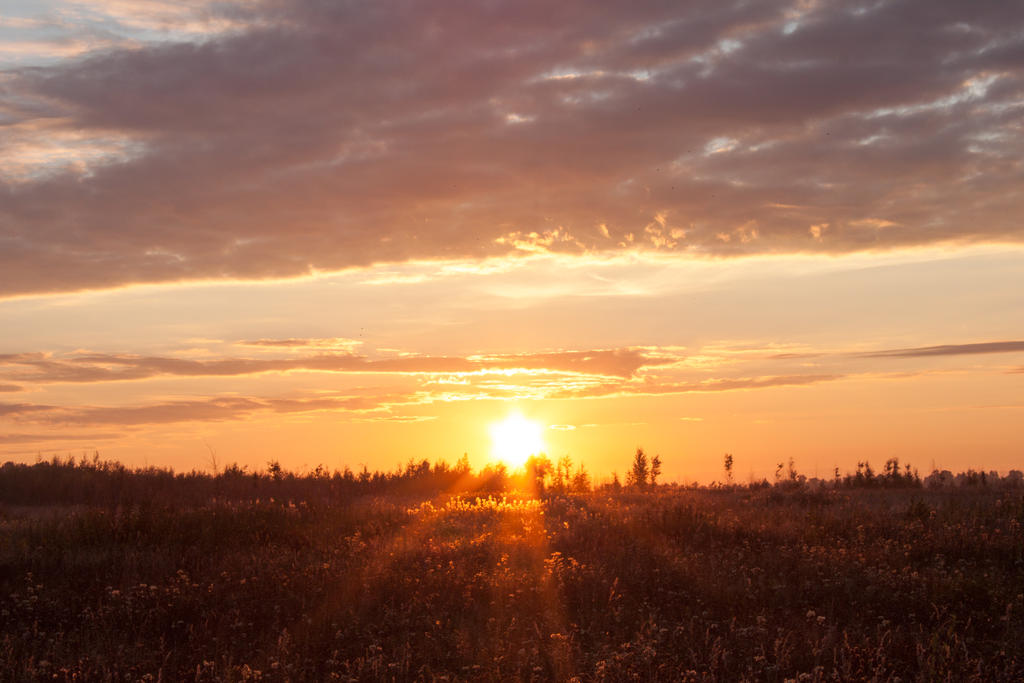 Red Sunset