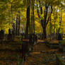 Autumn Cemetary 2