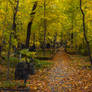 Autumn Cemetary 26