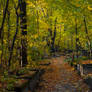 Autumn Cemetary 25