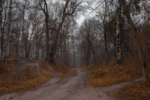 Autumn Forest by ManicHysteriaStock