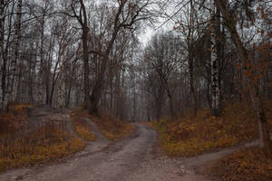 Autumn Forest by ManicHysteriaStock Autumn Forest by ManicHysteriaStock