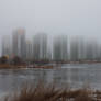 Fog in the city 9