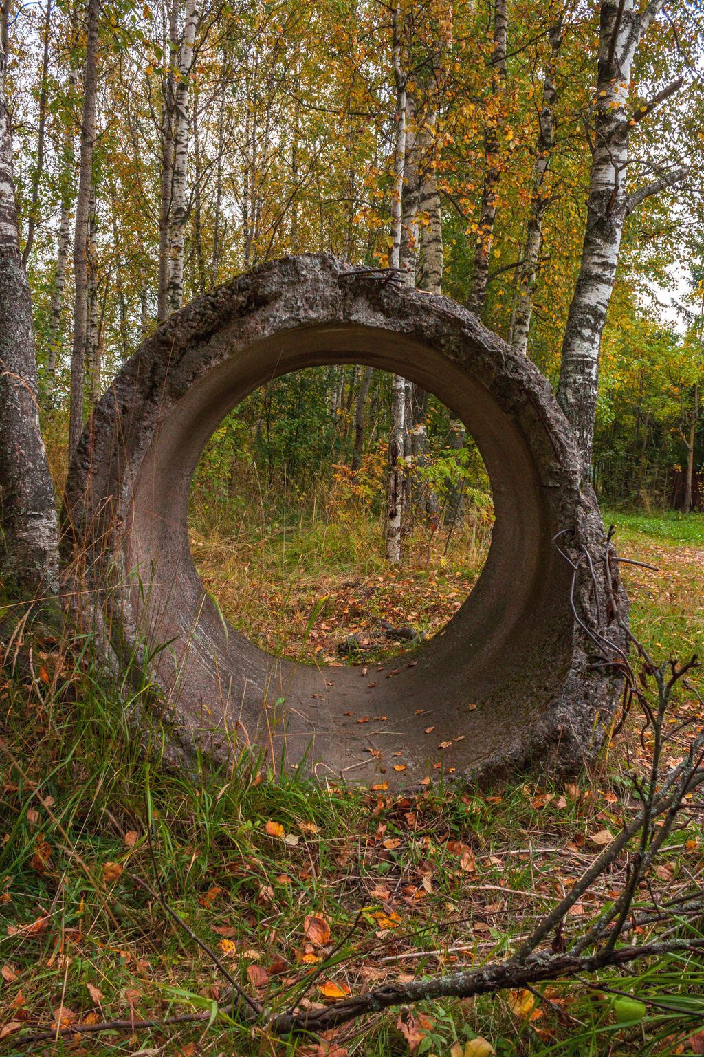 Concrete Circle