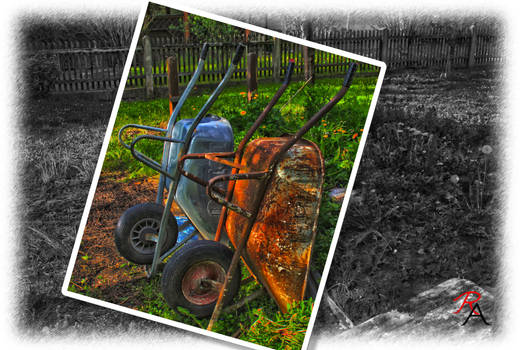 Two rusty wheelbarrows