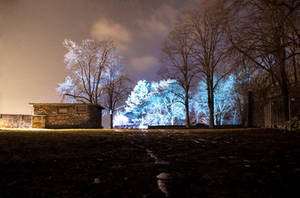 Weather lights in trees by Surfinger Weather lights in trees by Surfinger