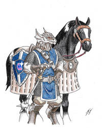 DragonBorn Eldritch Knight (Commission 161007)
