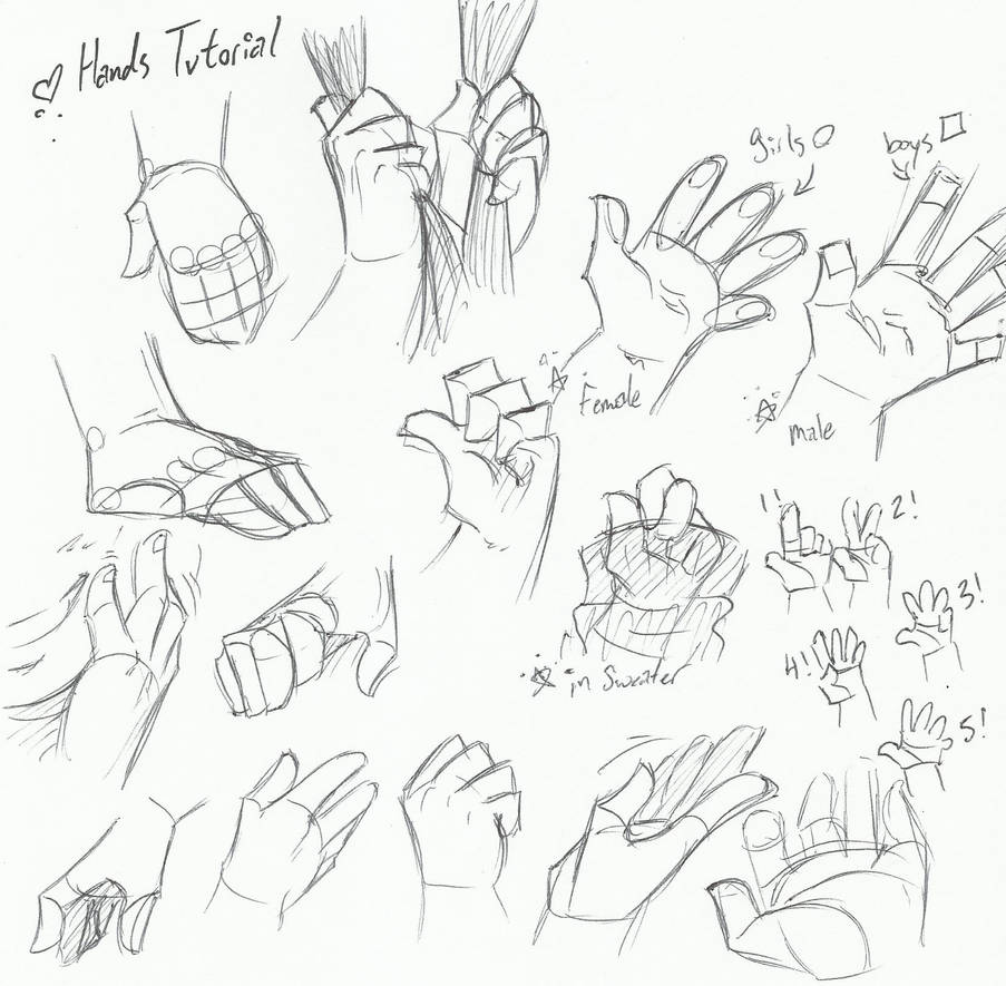 Deconstructing Hands Tutorial Hands Tutorial by KowaiSenpai on DeviantArt