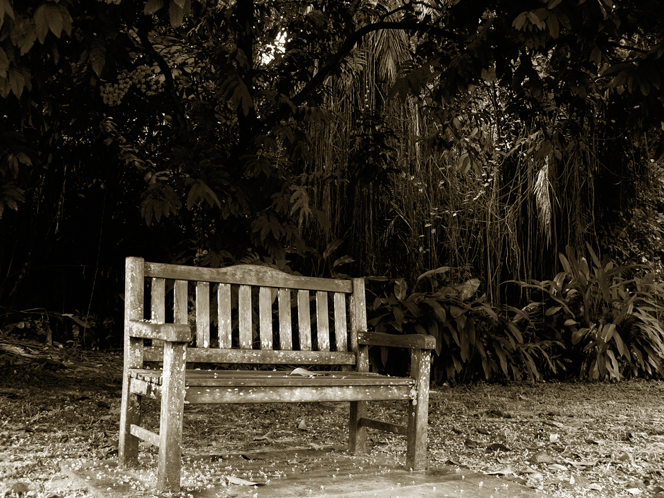 empty bench