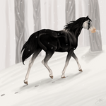 Silent Snowfall by SolSkraper