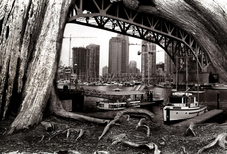 root window by SYMBIDIOT on DeviantArt