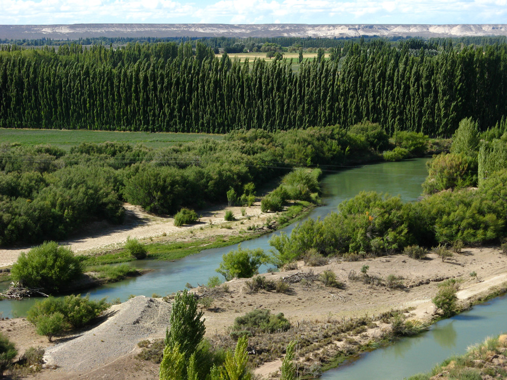 Rio de curvas