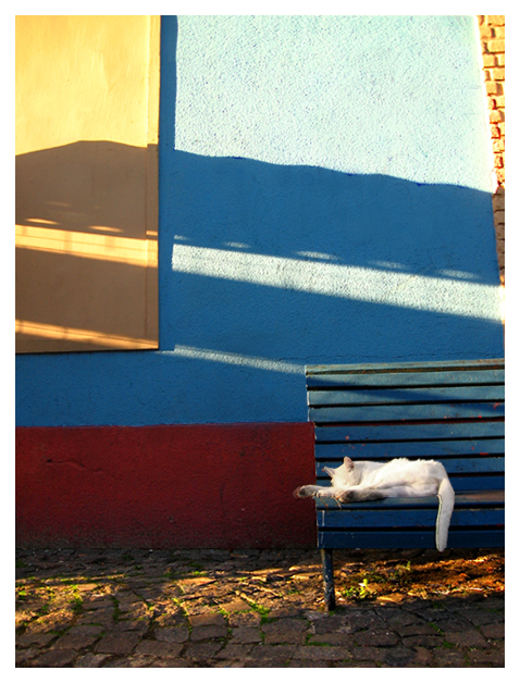 sleeping cat in La Boca