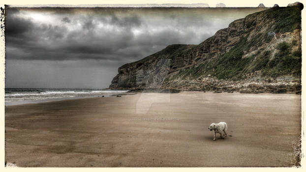 Paisaje canino (sin perro no hay paisaje)