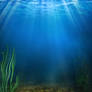 185 underwater background