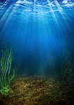 185 underwater background