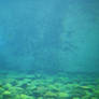 310 Underwater Pebbles
