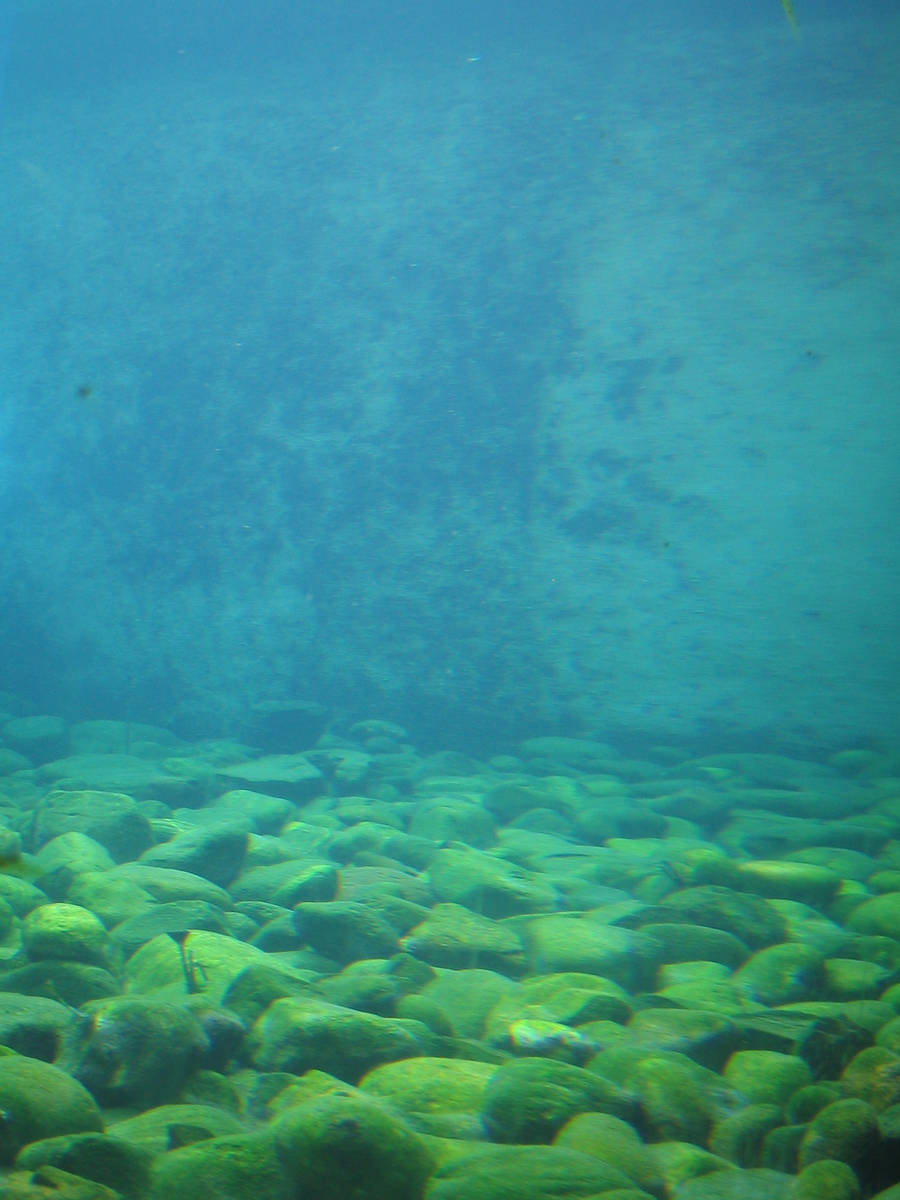 310 Underwater Pebbles by Tigers-stock