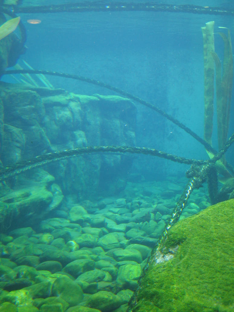 492 Marine Rope by Tigers-stock