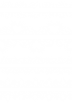 613 Lace Lines 1